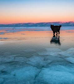 西伯利亚联邦管区游记图文-贝加尔湖之旅