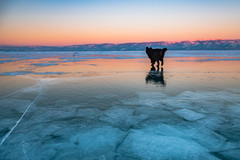 西伯利亚联邦管区游记图片] 贝加尔湖之旅