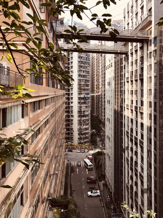 魁星楼旅行图片 6