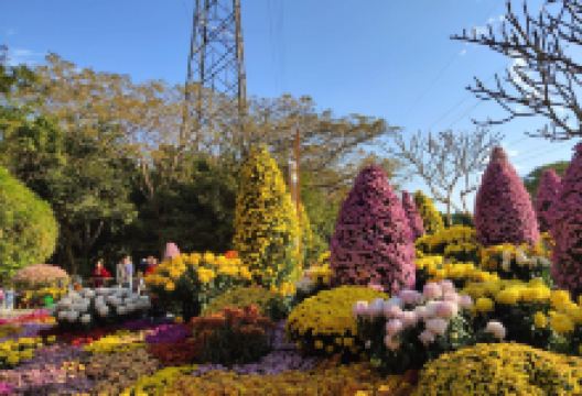 东湖公园景点图片