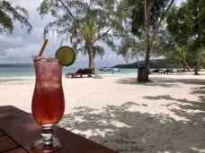 科尼艾兰-纽约-东张西望望东西