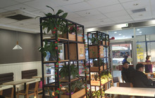 华莱士·炸鸡汉堡(枝城店)餐厅图片