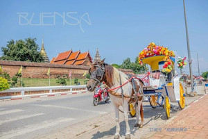 南邦府治县游记图文-为了马车去一趟南邦（泰国清迈04）