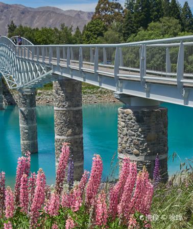 3D2N • Greymouth - Fox Glacier  The intersection of ice and fire- Wanaka - Queenstown