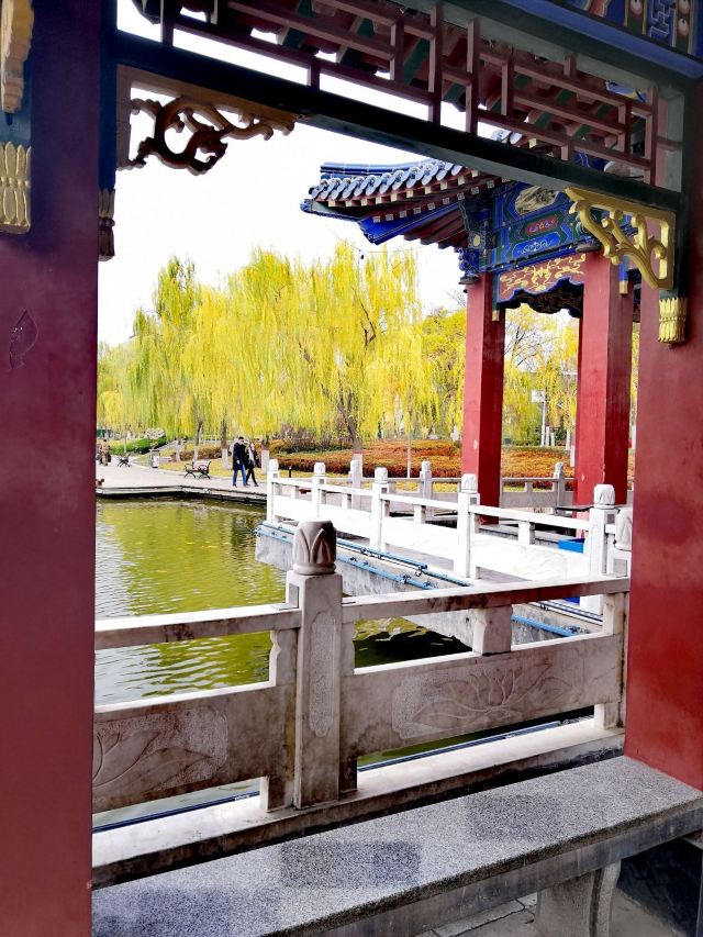 雁滩公园旅行图片 2