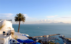 突尼斯游记图片] 地中海蓝白小镇，藏着优雅与粗犷，带给你不一样的体验