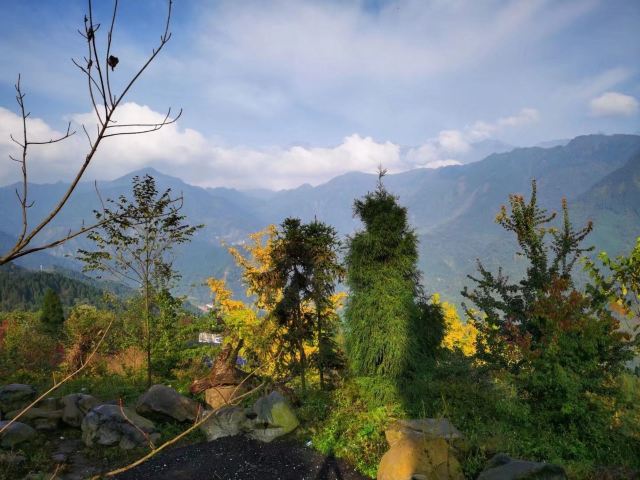 川西红枫岭旅行图片 3