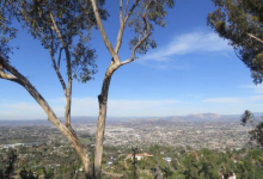 Sundowners Park景点图片