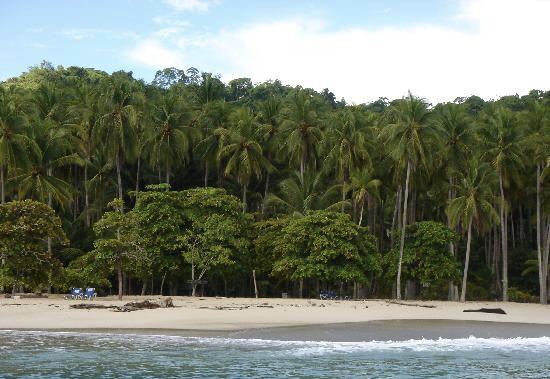 Tortuga Island