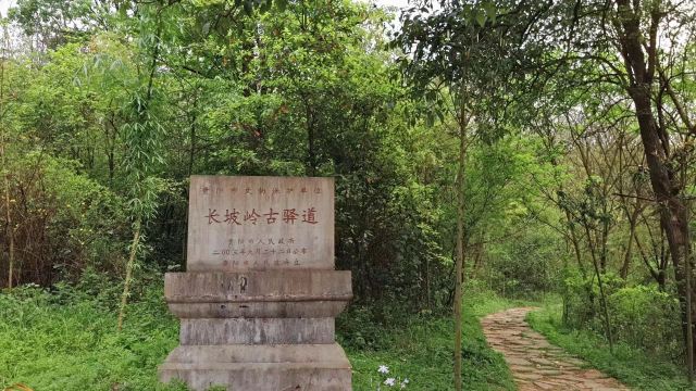 长坡岭国家森林公园旅行图片 1