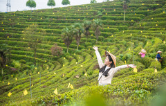 洪江游记图片] 徒步旅行 探寻隐藏的小众秘境（怀化篇）