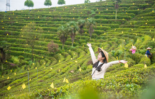 徒步旅行 探寻隐藏的小众秘境（怀化篇）