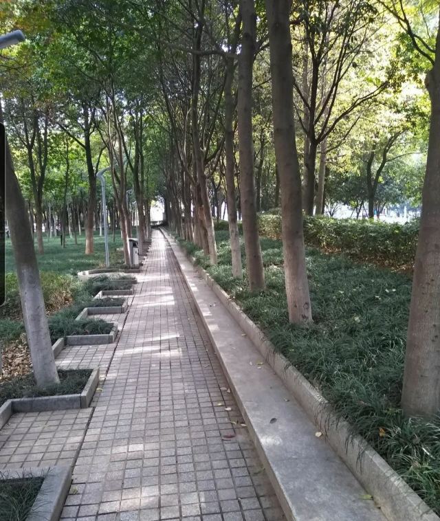旺山公园旅行图片 3