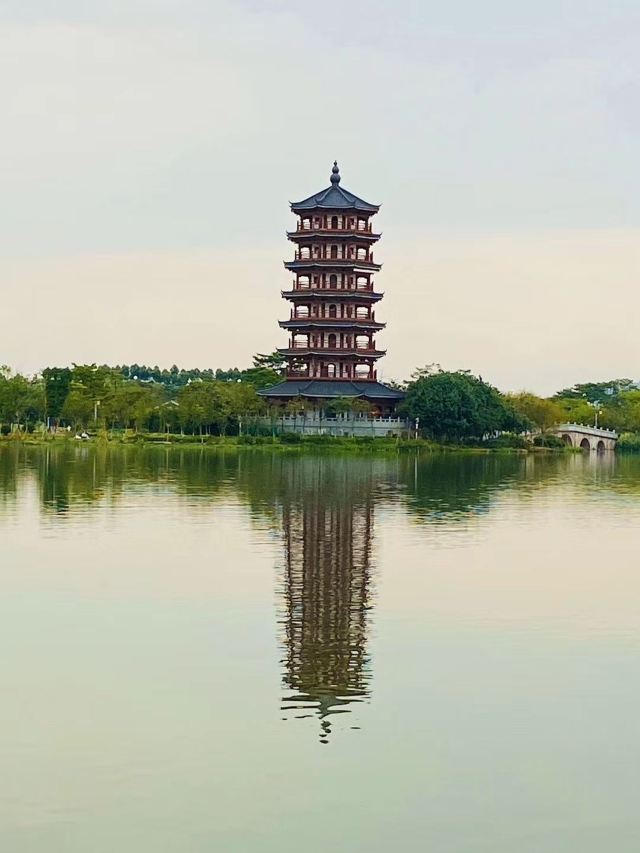 华阳湖国家湿地公园旅行图片 8