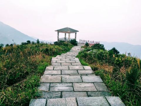 流溪河国家森林公园景点图片 10