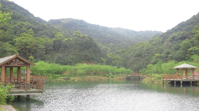 流溪河国家森林公园景点图片 4