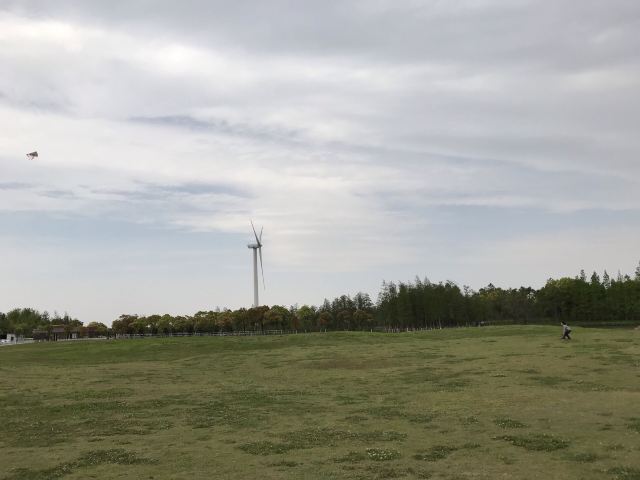 上海滨海森林公园旅行图片 3