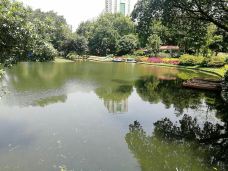 晓港公园-广州-kiki锦鲤