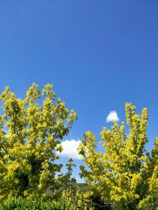 北京鹫峰国家森林公园-北京-YoYo_2W2Q3L5U