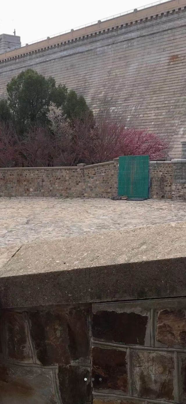 樱花园旅行图片 5