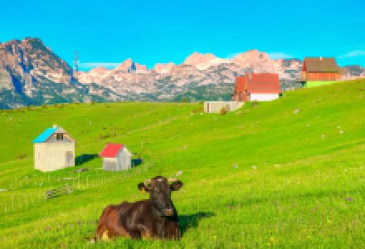 扎布利亚克景点图片