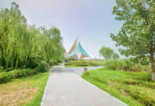 灞桥生态湿地公园景点图片