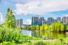 华发水郡省级湿地公园-珠海-doris圈圈