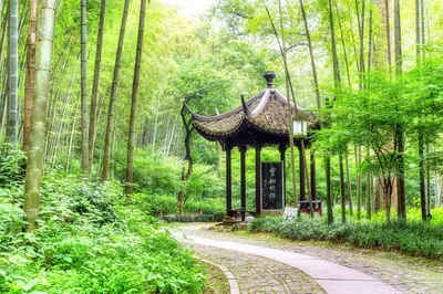 云栖竹径