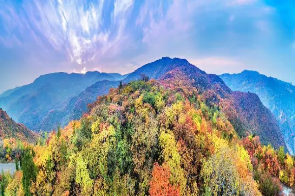 【龍山景區參觀攻略2026】門票優惠、開放時間及交通地址一覽 - 永安旅遊