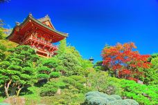 日本茶园-旧金山-尊敬的会员