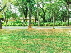 Botanical Garden of Asunción-亚松森