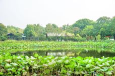 要塞旅游风景区-江阴-DorophyHa