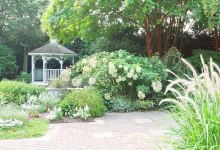 JC Raulston Arboretum景点图片