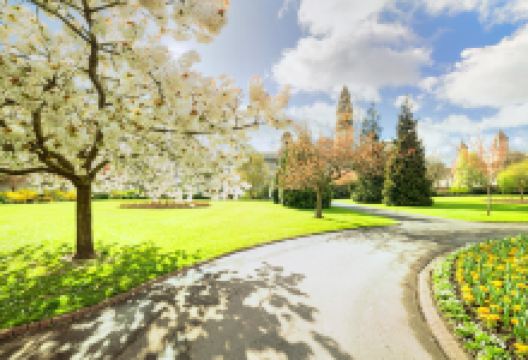 布特公园景点图片