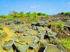 儋州千年古盐田-儋州-山风与海棠果