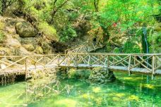 蝴蝶谷-罗得岛-尊敬的会员