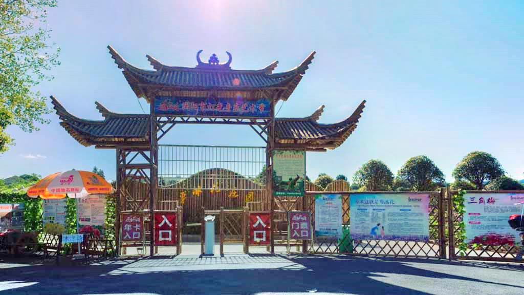 官渡原乡花海