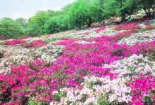 西山公园景点图片