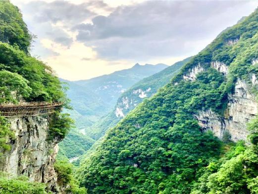 遵义市道真仡佬族苗族自治县旅行攻略