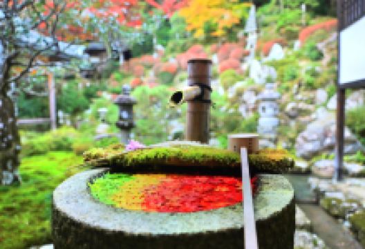 Yōkoku-ji Temple (Yanagidani Kannon)景点图片