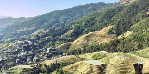 九龍五虎觀景台