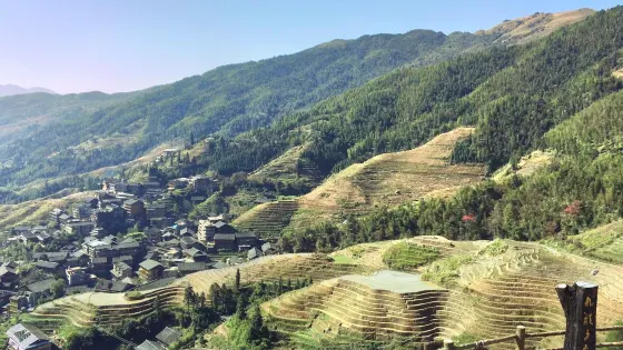 九龍五虎觀景台