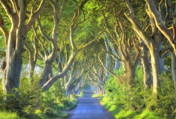 英国都柏林贝法往返｜巨人之路&黑暗树篱&邓路斯城堡｜北爱奇景【强推：“《权游取景地》秘境·北爱奇景VIP尊享一日包车游】