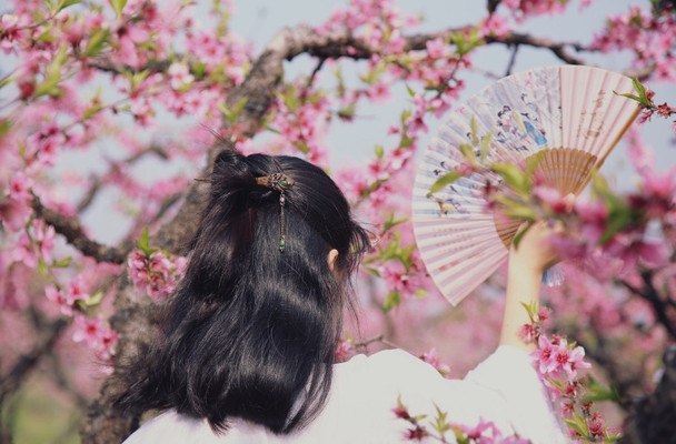 春天来了，桃花开了