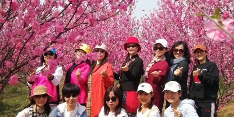 南屏山森林公園