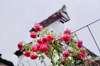 山河无恙｜杭州出发五一自驾游，一小时旅游圈畅玩富阳龙门古镇，深度游遍周边村落