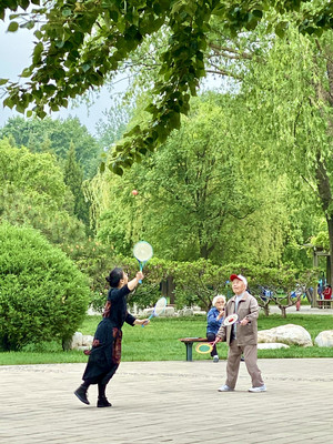 初夏的天坛公园枝盛叶绿,晨练的百姓回来了