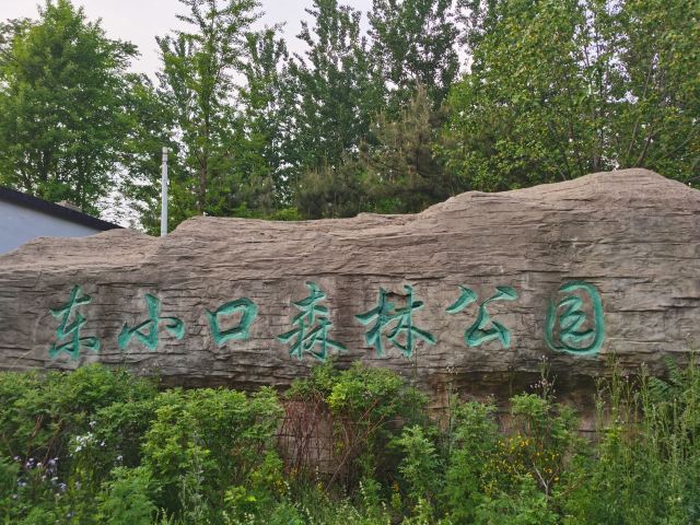 奥北森林公园二期北区旅行图片 5