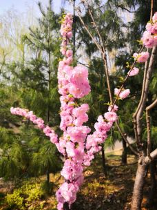 南戴河-秦皇岛-YoYo_3T9S0M0A