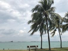 巴拉湾海滩-新加坡-M33****9626